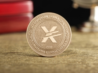 Монета "Exmo coin"