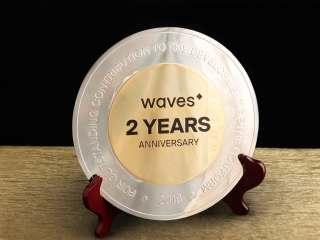 Награда "Waves"